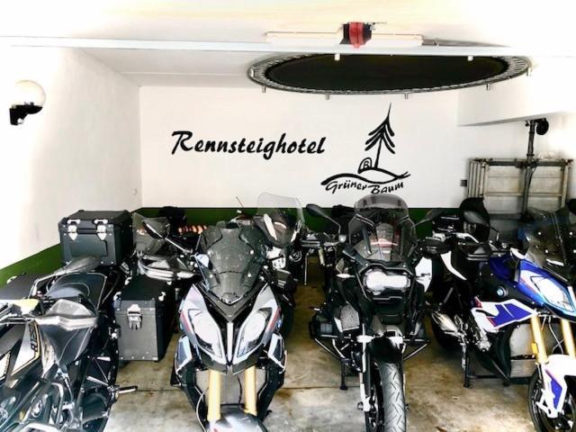 Rennsteighotel Gruener Baum 슈미데펠드암렌스타이그 외부 사진